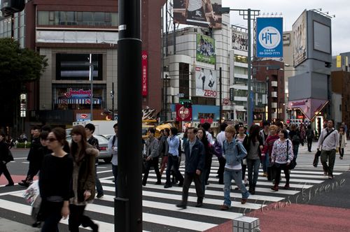 2010_10_22 05.14.37 PM _CAS1181