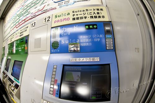 2010_10_22 05.49.15 PM _CAS1310