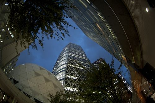 2010_10_22 06.16.27 PM _CAS1376