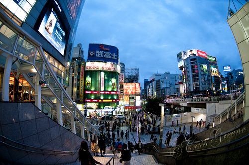 2010_10_22 06.03.55 PM _CAS1339