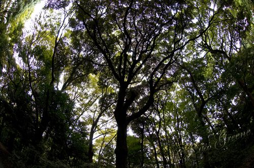 2010_10_22 02.52.40 PM _CAS0542