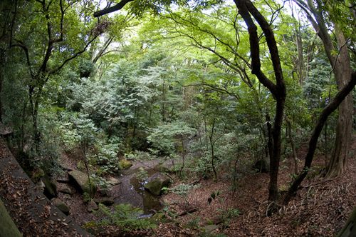 2010_10_22 02.53.57 PM _CAS0548