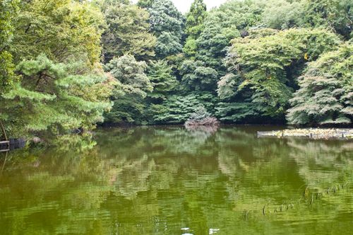 2010_10_22 04.18.10 PM _CAS0941