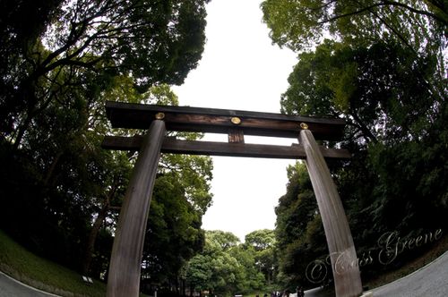 2010_10_22 03.03.13 PM _CAS0589