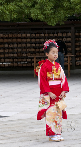 2010_10_22 03.18.17 PM _CAS0624