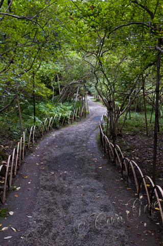 2010_10_22 04.33.46 PM _CAS0993