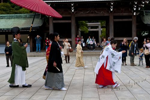 2010_10_22 03.42.35 PM _CAS0781