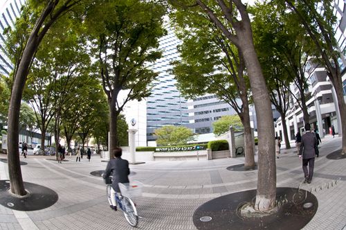 2010_10_22 10.20.34 AM _CAS0431