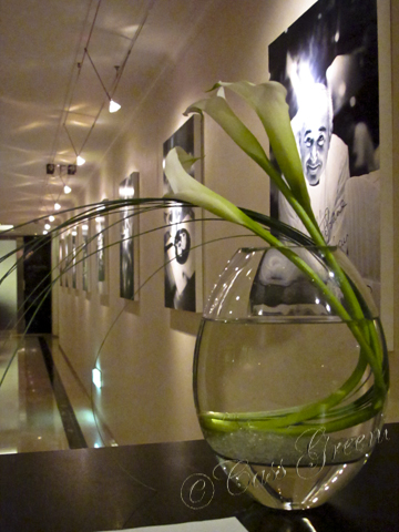 2010_10_21 03.47.12 PM IMG_7700