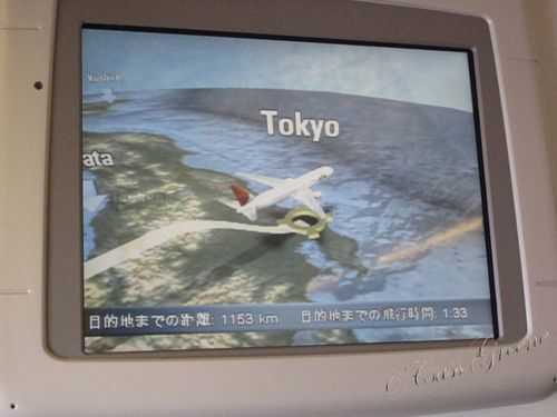 2010_10_20 08.21.24 AM IMG_7119