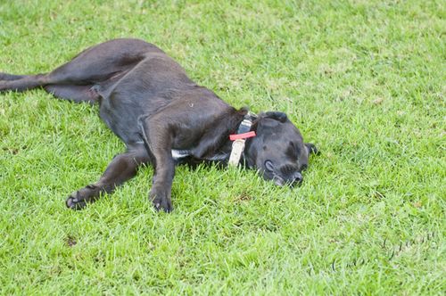 2010.10.03 11 00 39 AM _CAS6764