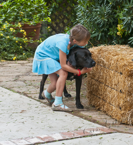 2010.10.03 11 16 09 AM _CAS6871