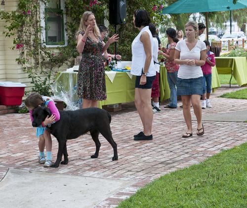 2010.10.03 10 54 28 AM _CAS6731