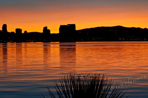 2011.01.16 07 25 53 AM _CAS1924