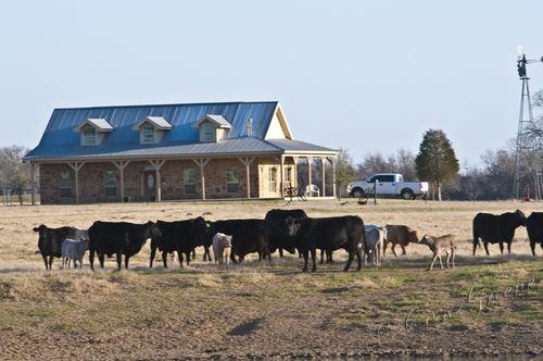 2011_02_28 05.59.41 AM _CAS1002