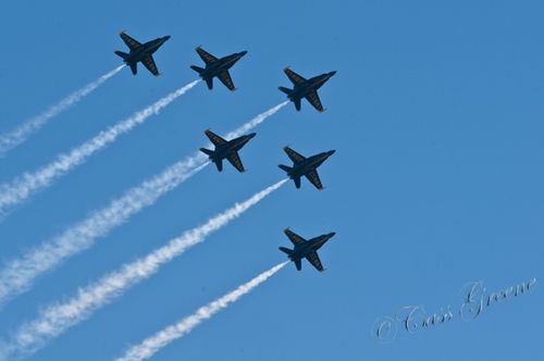 2011.02.12 01 03 05 PM _CAS7548