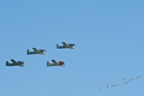 2011.02.12 01 27 45 PM _CAS7600