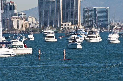 2011.02.12 01 52 54 PM _CAS7751