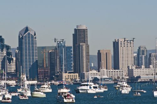 2011.02.12 01 55 40 PM _CAS7803