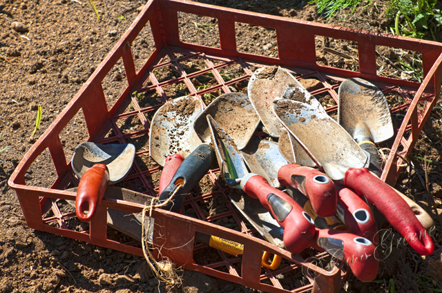 2011.03.15 10 53 11 AM _CAS6753