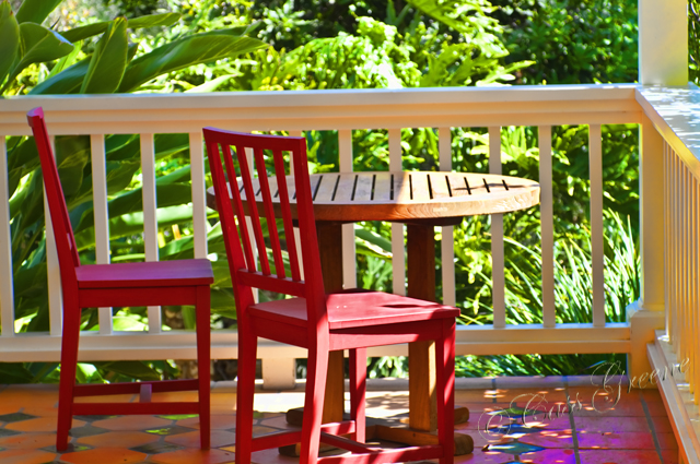 2011.03.15 11 06 18 AM _CAS6950