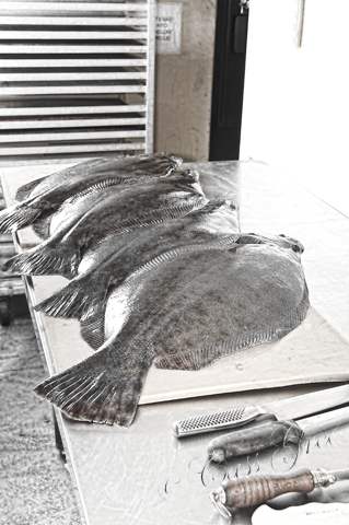 2011.04.21 02 42 22 PM _CAS2250