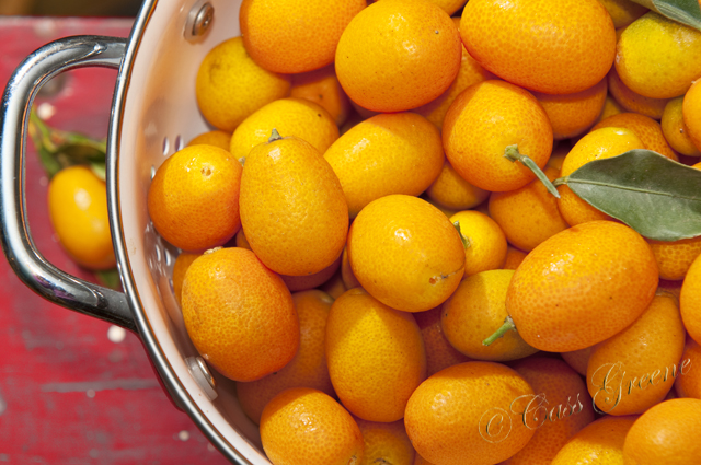 2011.04.19 04 20 05 PM _CAS2140