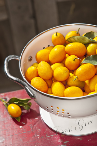 2011.04.19 04 18 22 PM _CAS2132