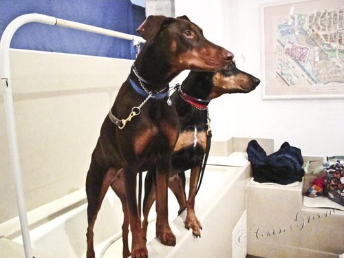 2011.04.08 06 55 40 PM IMG_3515