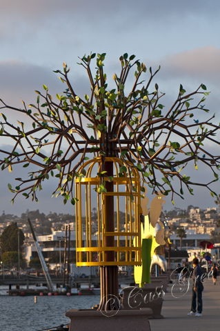 2011.04.04 05 49 57 PM _CAS9878