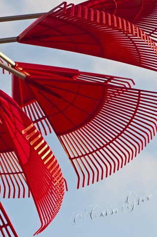 2011.04.04 05 40 14 PM _CAS9809