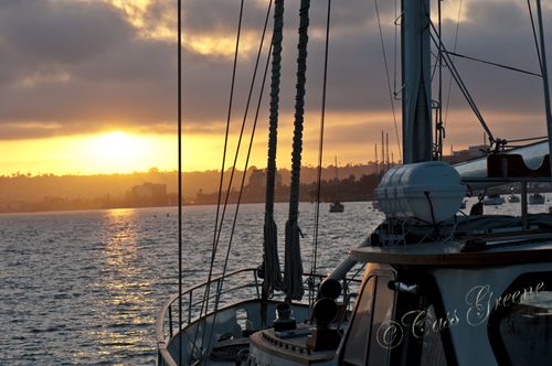 2011.04.04 06 02 20 PM _CAS9964