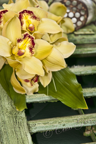 HDR 2011.04.01 01 59 46 PM _CAS9237