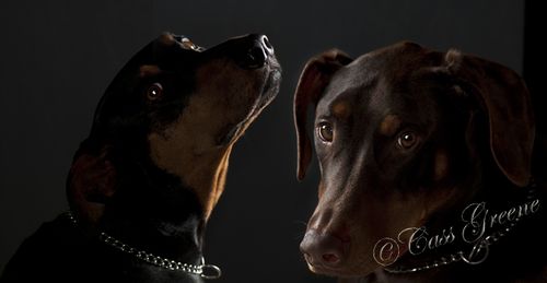 Plain 2011.04.03 03 22 14 PM _CAS9714